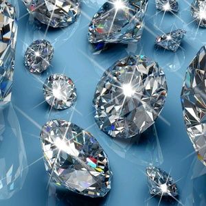 Meet your Posher, Tanya